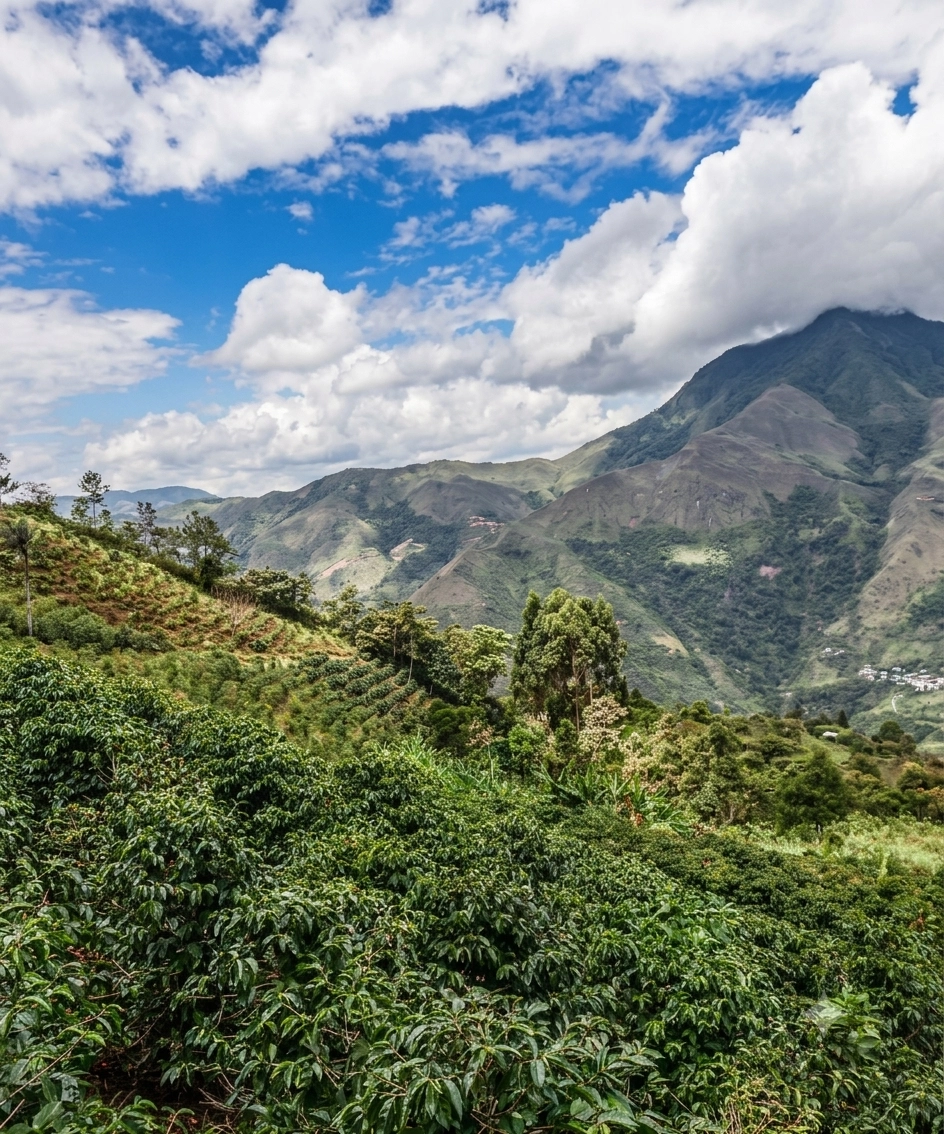 Andean valleys in Peru